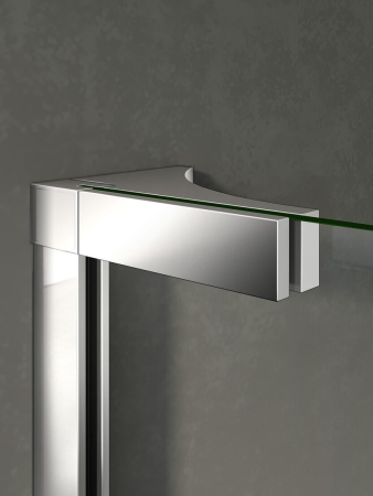 Душевая дверь WeltWasser WW 300PI-100