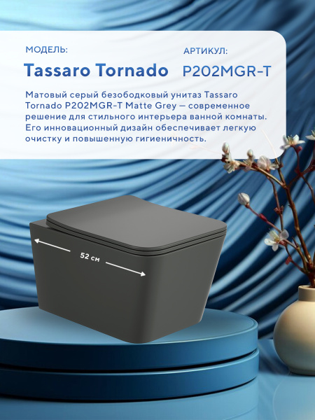 Унитаз подвесной безободковый Amore di Mare Tassaro Tornado P202MGR-T Matte Grey, прямоугольный серый матовый, антивсплеск, фарфоровый, быстросъемное сиденье дюропласт с крышкой микролифт