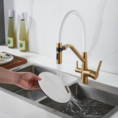 Смеситель для кухни с гибким изливом и подключением фильтра Shevanik S278G, золотой сатин