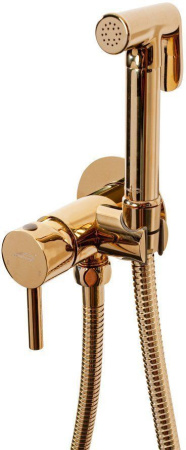Смеситель встраиваемый с гигиеническим душем Hansberge H3099 Золото глянец