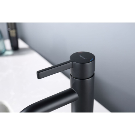 Смеситель для раковины Splenka S221.10.06, черный