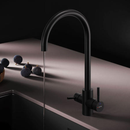 F85B07722 X-Joy S, Смеситель для кухни AM.PM с С-изливом с каналом для питьевой воды, черный