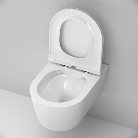 C8F1701SC Func подвесной унитаз 54 см FlashClean с сиденьем микролифт