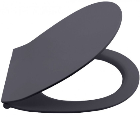 Сиденье для унитаза ISVEA Sentimenti Neo с крышкой с микролифтом антрацит матовый 40D80522I-S