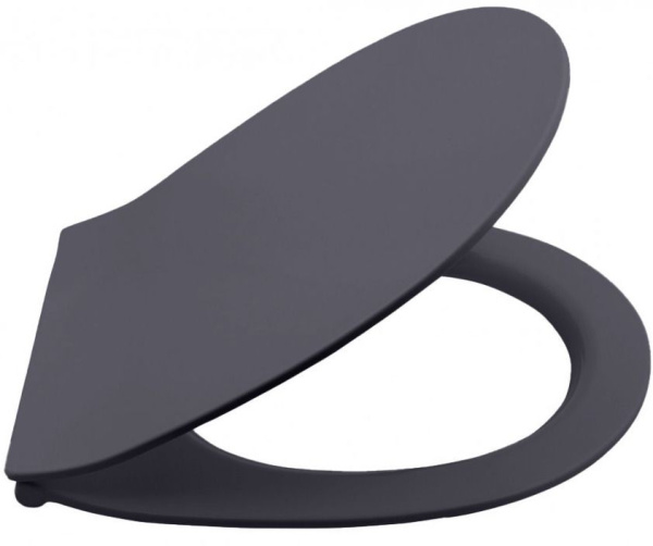 Сиденье для унитаза ISVEA Sentimenti Neo с крышкой с микролифтом антрацит матовый 40D80522I-S