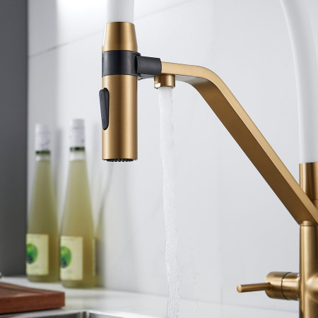 Смеситель для кухни с гибким изливом и подключением фильтра Shevanik S278G, золотой сатин