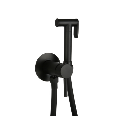 Смеситель встраиваемый Roxen Santi 500940-B с гигиеническим душем