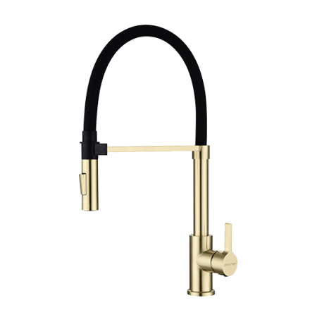 Смеситель для кухни Paulmark HALT Ha214021-SBG, светлое брашированное золото