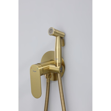 Гигиенический душ со смесителем  Raglo R10.52.03, сатин золотой