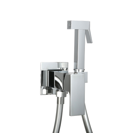 Смеситель встраиваемый Roxen Caspia 500960-CH с гигиеническим душем