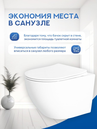 Унитаз подвесной безободковый Amore di Mare Lenza Tornado P252-T, овальный белый, антивсплеск, фарфоровый, быстросъемное сиденье дюропласт с крышкой микролифт, антибактериальное покрытие