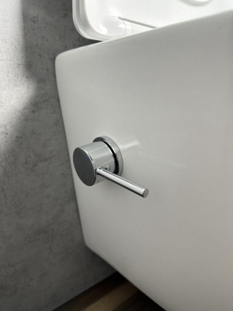Подвесной унитаз Roxen Antares Bidet Tornado 530185-01XT Rimless Soft Close с функцией биде