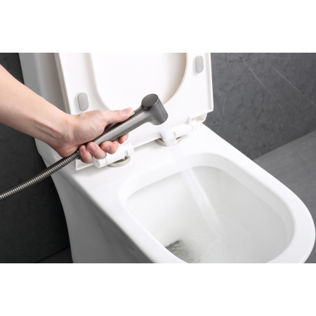 Гигиенический душ со смесителем Raglo R03.51.09, графит