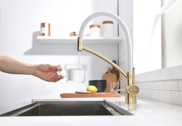 Смеситель для кухни Paulmark SIЕGEN Si213111-BRw, бронза/белый