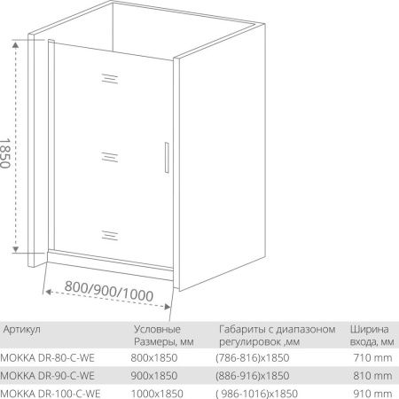 Душевая дверь Good Door MOKKA DR-100-C-WE