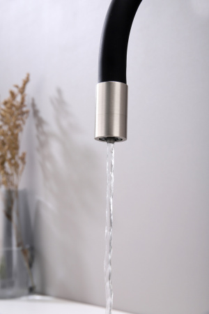 Смеситель для кухни Paulmark SALIX Sa213419-NI, никель