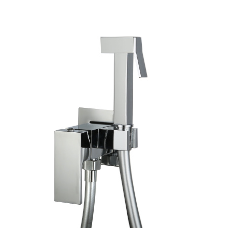 Смеситель встраиваемый Roxen Caspia 500960-CH с гигиеническим душем