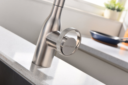 Смеситель для кухни Paulmark URBAN Ur213104-NI, никель