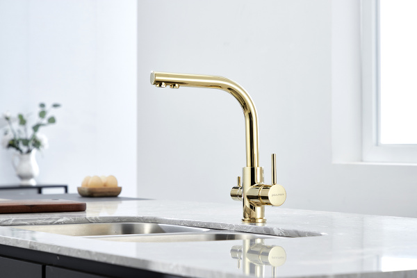 Смеситель для кухни Paulmark ESSEN Es213011-G, золото