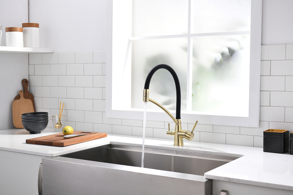 Смеситель для кухни Paulmark SIЕGEN Si213111-BR, бронза