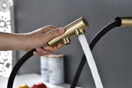 Смеситель для кухни Paulmark SERPENTINE Se213222-BR, бронза