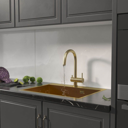 Кухонная мойка Reflexion Iseo RX2265GD брашированное золото