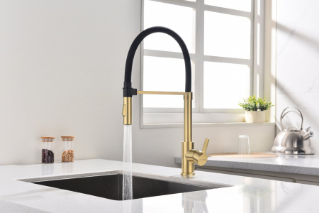 Смеситель для кухни Paulmark HALT Ha214021-SBG, светлое брашированное золото