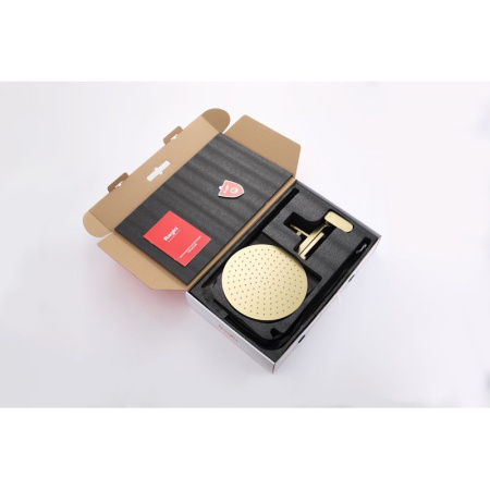 Душевая система Raglo R10.24.03, сатин золотой