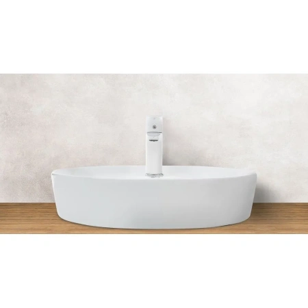 Раковина накладная WeltWasser WW SK ELBACH 3204