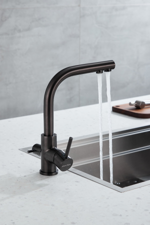 Смеситель для кухни Paulmark ESSEN Es213011-GM, вороненая сталь
