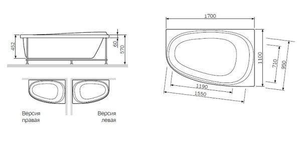 Декоративная фронтальная панель для ванны AM.PM Like W80A-170U110W-P 170х100 см