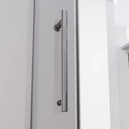 Душевая дверь распашная Veconi Premium Alassio GR, 1400х2000, брашированный графит, стекло прозрачное осветленное