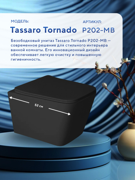 Унитаз подвесной безободковый Amore di Mare Tassaro Tornado P202-MB, прямоугольный черный, антивсплеск, фарфоровый, быстросъемное сиденье дюропласт с крышкой микролифт, антибактериальное покрытие