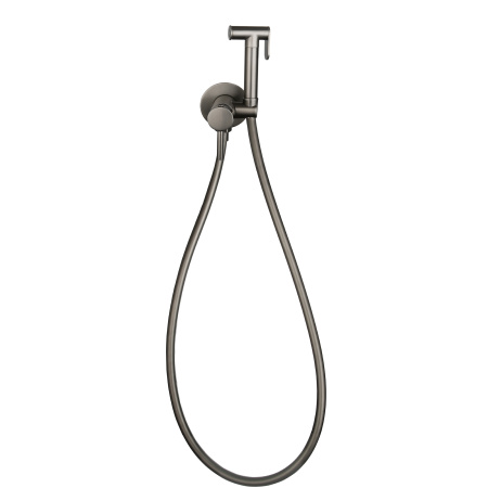 Смеситель встраиваемый Roxen Santi 500940-GM с гигиеническим душем