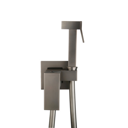 Смеситель встраиваемый Roxen Caspia 500960-GM с гигиеническим душем