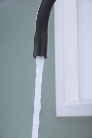 Смеситель для кухни Paulmark SALIX Sa213419-401, антрацит полностью