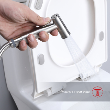 Гигиенический душ со смесителем  Raglo R10.52.05, сатин