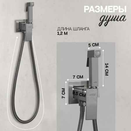 Смеситель встраиваемый с гигиеническим душем Hansberge H3077 Графит