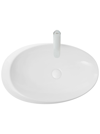 Раковина накладная WeltWasser WW SK ELBACH 1094