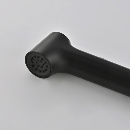 Гигиенический душ со смесителем Rose R235H, черный