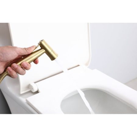 Гигиенический душ со смесителем  Raglo R10.52.03, сатин золотой