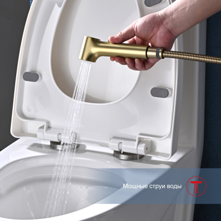 Гигиенический душ со смесителем Raglo R03.51.03, сатин золотой