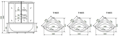 Душевая кабина Timo Standart Т-6625 Silver F  (120*120*220), турецкая баня хамам
