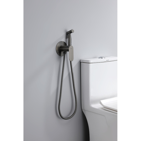 Гигиенический душ со смесителем  Raglo R10.52.09, графит