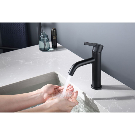 Смеситель для раковины Splenka S221.10.06, черный