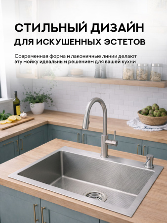 Мойка для кухни из нержавеющей стали Amore di Mare Favo Pelle FP5048S-1, 500х480х220 мм: мойка, дозатор, сифон. Цвет: сатин.
