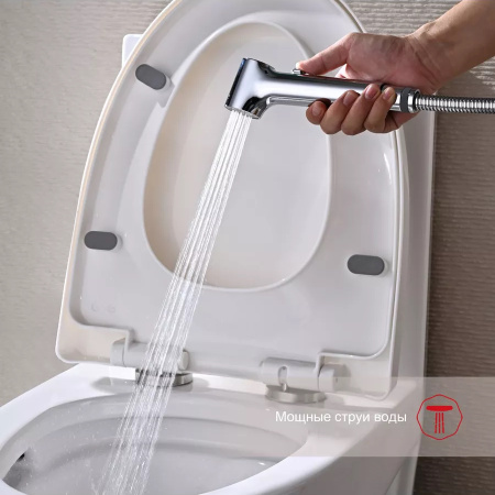 Гигиенический душ со смесителем  Raglo R03.52, хром