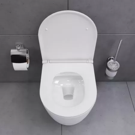 Унитаз подвесной Damixa Sirius DX86C1700SC безободковый, с сиденьем микролифт