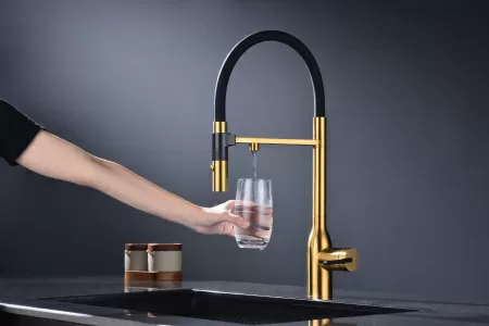 Смеситель для кухни Paulmark MAGNETO ONE Ma213188-BG, брашированное золото