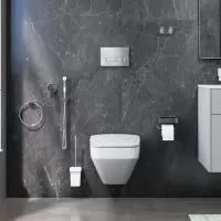 Комплект для ванной комнаты AM.PM Inspire 2.0 CK50GD зона туалета